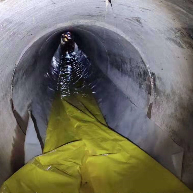 东湖管道光固化修复